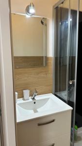 a bathroom with a white sink and a shower at Chambres mimi deni in Hésingue +13 photos