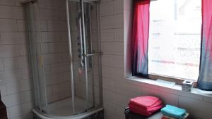 a bathroom with a shower with pink towels and a window at Ferienhaus Badetz in Badetz +48 photos