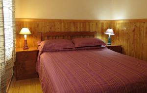 a bedroom with a bed and two lamps on night stands at Cabañas Alto Caburgua in Caburgua +32 photos
