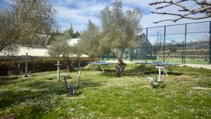 a park with picnic tables in the grass at Camping Ezcaba in Maquirriain