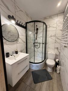 a bathroom with a shower and a toilet and a sink at Hostel Róża in Żywiec