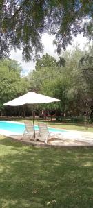 two chairs and an umbrella next to a pool at Complejo Volcanes de la Puna in Tinogasta