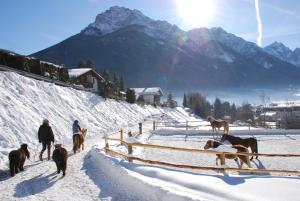 a group of people walking in the snow with horses at KASSNHOF - Urlaub in den Bergen in Telfes im Stubai