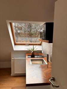 a kitchen with a sink and a window at Stuttgart Nest in Stuttgart