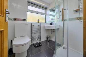 a bathroom with a toilet and a sink and a shower at Finest Retreats - Dyffryn in Betws-y-coed +21 photos