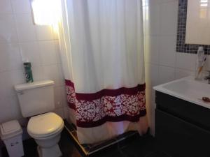 a bathroom with a toilet and a shower curtain at Casa concon mascotas estacionamiento in Valparaíso