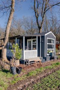 a tiny house with a bench and a tree at Kemphaontje is a Magic Tiny House with a view in Anloo