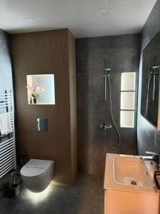 a bathroom with a toilet and a sink and a shower at Apartment VEDA 2 in Veliko Tŭrnovo +19 photos