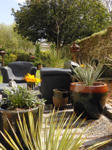 a garden with chairs and potted plants at Le Banellou in Quimper