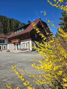 a large building with yellow flowers in front of it at Landhaus Grünjuwel in Himmelberg