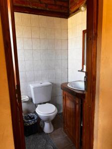 a bathroom with a toilet and a sink at cabaña Quovadis in Trevelín