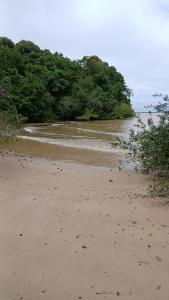 a sandy beach with trees in the background at Choupana Siriá in Belém