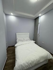 Gallery image of Addis luxury Apartment in Addis Ababa