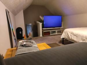 a living room with a television and a bed at Kings Bay Private Room Shared Bathroom D in Decatur