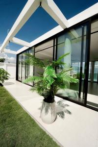 a palm tree in a white vase sitting on a patio at Casa Del Mare Ocean SeaView Villa with Private Pool in Zanzibar City