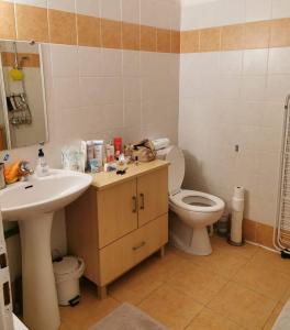 a bathroom with a sink and a toilet at Appartement T2 centre-ville in Corte