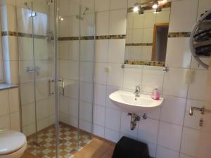 a bathroom with a shower and a sink and a toilet at Ferienhof Oldach in Bacharach