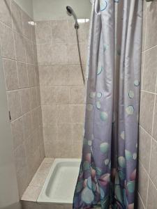 a shower with a shower curtain in a bathroom at Apartmán Na Blatech in Česká Lípa +14 photos