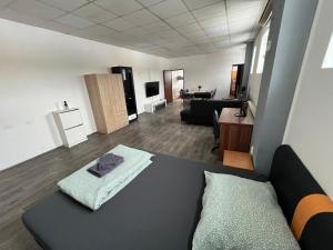 a room with a couch and a living room at Apartmán Na Blatech in Česká Lípa