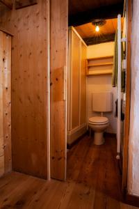 a bathroom with a toilet and a wooden floor at Via del Campo 98 in Castione Andevenno
