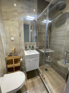ein Badezimmer mit Dusche, Waschbecken und Toilette in der Unterkunft Studio Ariadne in Thérmi