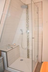 a bathroom with a shower with a sink at Dannauer Reetkate - Wiesenblick in Oldenburg in Holstein +16 photos