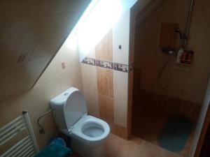a bathroom with a toilet and a shower with a light at Lastovička in Ihráč
