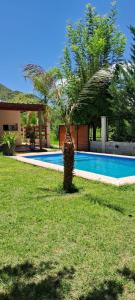 a palm tree in a yard next to a swimming pool at Casademontaña in Belén