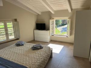 a bedroom with a bed and a tv and a window at IL COLLE rooms in Lucca
