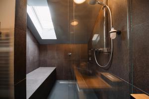 a bathroom with a shower with a skylight at Apartmány Dačický 2 in Kutná Hora +60 photos