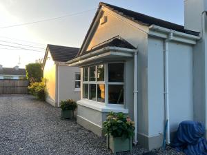 a white house with two potted plants in front of it at Serenity Cottage in Newpark
