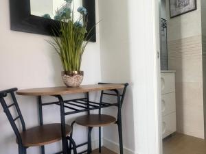 a small table with two chairs and a plant on it at Cozy apartment in Leganés in Leganés