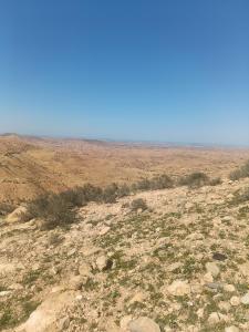 an open field with rocks and bushes in the desert at Diar twins in Gabès