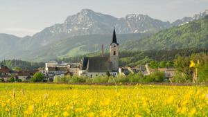 a town with a church and a field of yellow flowers at Ferienwohnung historisches Teisendorf in Teisendorf