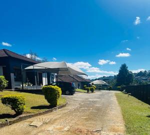 a driveway with an umbrella in front of a house at Sweet Daisies Apartment in Mbabane