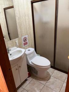 a bathroom with a toilet and a sink at Cabañas arca 2 in Pucón