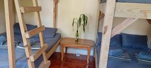 a room with two bunk beds and a table at Joan's All Seasons Homestay in Taccon