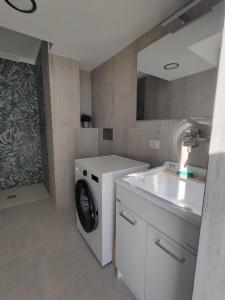 a bathroom with a washing machine and a sink at Villa Martini dei Rossi in Sanfrè +60 photos