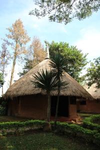 Zahrada ubytování Ban Din Resort Chiang Rai