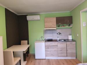 a small kitchen with green walls and a white refrigerator at Apartman Andjela 1 in Vrdnik
