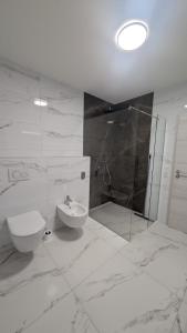 a bathroom with a shower and a toilet and a sink at Gemütliche Wohnung mit Terrasse nahe Würth in Künzelsau +5 photos
