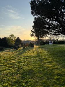 a field of grass with a tree in the foreground at A casa de Carmen in Sarria
