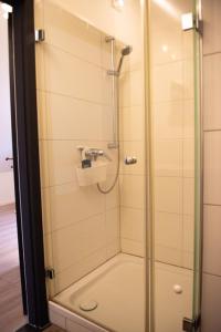 a shower with a glass door in a bathroom at Alte Schreinerei in Steffeln