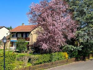 a tree with pink flowers in front of a house at rest in a garden in Geneva