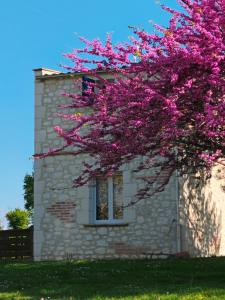 a tree with pink flowers in front of a building at Pigeonnier de campagne in Moncaut +4 photos