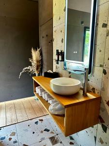 a bathroom with a sink and a large mirror at Le Vert d'Orezza in Valliquerville