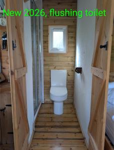 a bathroom with a toilet in a tiny house at Dryw bach glamping hut in Llandeilo