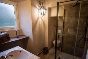 a bathroom with a shower and a sink and a toilet at Le Logis des Seigneurs in La Flocellière