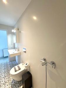 a bathroom with a toilet and a sink at Lenio Rooms in Skiathos