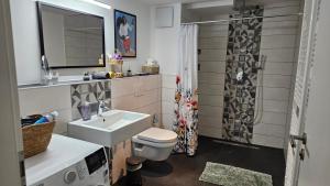 a bathroom with a sink and a toilet and a shower at Studio - Charmant, Gemütlich & Zentral in Landsberg am Lech